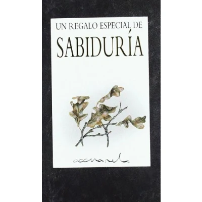 Imagen de REGALO ESPECIAL SABIDURIA (INSPIRACIONAL)
