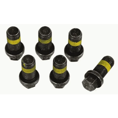 Imagen de SACHS 1874 000 069 JKuego tornillos, volante