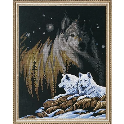Imagen de Janlynn Aurora boreale contati Stitch Kit 11 X 14 Conte