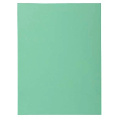 Imagen de Exacompta 330021E Lote de 100 Subcarpetas Super 250, Color Verde