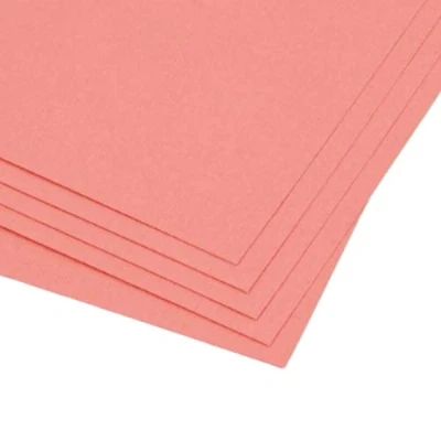 Imagen de Craftelier Pack de 5 Cartulinas Textura Lienzo a Doble Cara Material Perfecto para Proyectos Scrapbooking y Manualidades Gramaje 216 gr Tamaño 30,48 x cm (12&quot; 12&quot;) Color Coral