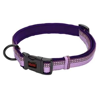 Imagen de Collar Cómodo para perros HALTI Banda ajustable con Forro de neopreno y Tejido Reflectante 3M. Nailon primera calidad. Ligero e Ideal Cachorros pequeños (Talla XS, Morado)