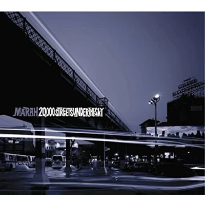 Imagen de 20,000 Streets Under The Sky [Vinilo]
