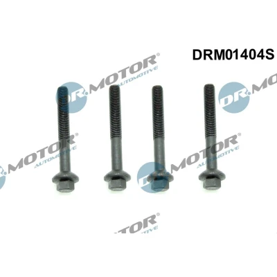 Imagen de DR.MOTOR AUTOMOTIVE DRM01404S Tornillo, soporte inyector RENAULT: LAGUNA 3, MEGANE 2, Kangoo II / Grand Kangoo, DACIA: Duster SUV