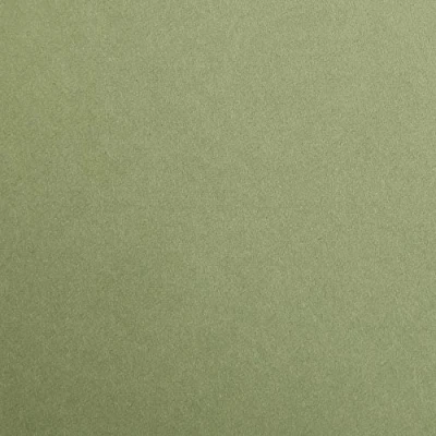 Imagen de Clairefontaine 48070C Paquete (con 25 hojas de papel dibujo Maya, DIN A3, 29,7 x 42 cm, 270 g, liso, para técnica en seco y enmarcar), color verde