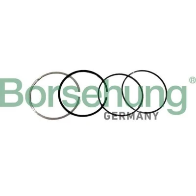 Imagen de Juego de segmentos del pistón Borsehung B10371