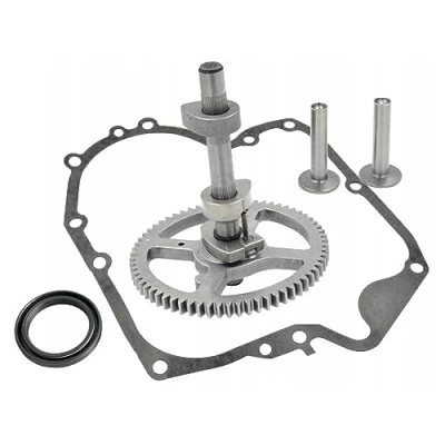 Imagen de Árbol de levas compatible con Briggs &amp; Stratton 10,5 19PS Modelos 21 28 31 33 INTEK OHV AVS