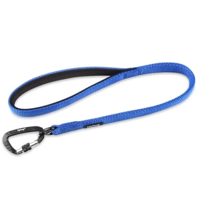 Imagen de Hyhug Correa Corta Resistente de 61 cm Longitud con asa cómoda y Aluminio aviación Ligera para Perros Grandes medianos. (Azul Brillante)
