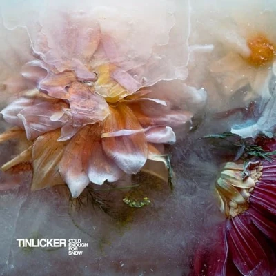 Imagen de Cold Enough for Snow (2lp) [Vinilo]