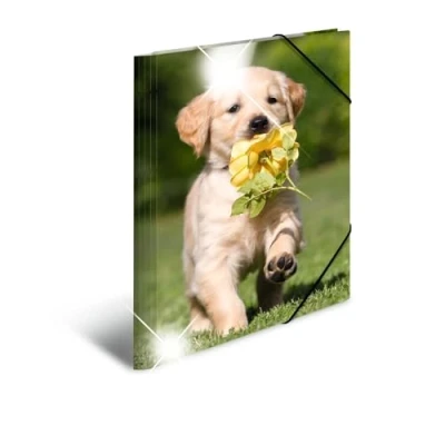 Imagen de HERMA 19336 carpeta de dibujo Animales brillante con motivo Canino, A3, plástico resistente, impresión interior, 1 palmo