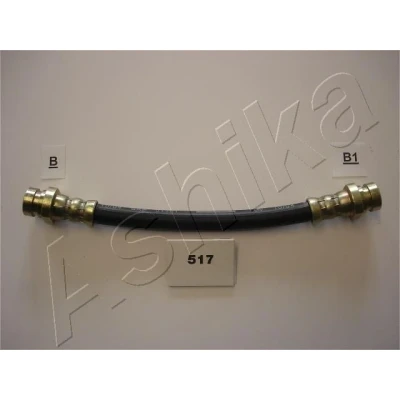 Imagen de Soporte, tubo flexible de freno ASHIKA 69 05 517