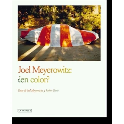 Imagen de Joel Meyerowitz:¿en color? (Libros de Autor.)