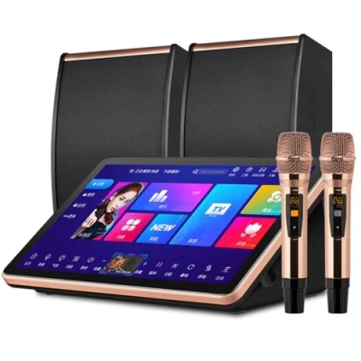 Imagen de YHUEGH Sistema de Karaoke Profesional, máquina 15,6 Pulgadas con 2 micrófonos y Altavoces inalámbricos, Disco Duro Integrado 500 G, megáfono Digital DSP Profesional Black