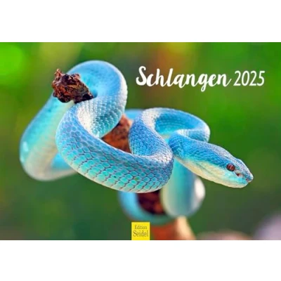 Imagen de Edition Seidel calendario premium de serpientes 2025, formato DIN A3, pared, animal, serpiente, reptiles, escalopas
