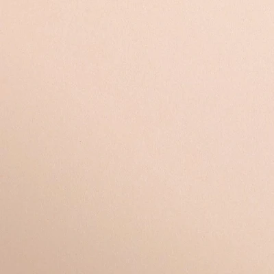 Imagen de Clairefontaine 97364C Lote de 25 hojas papel, diseño liso, A4, 21 x 29,7 cm, 120 g, ideal para dibujo y actividades creativas