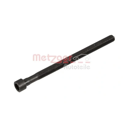 Imagen de METZGER 0873030 Tornillo, soporte inyector AUDI: A3 Hatchback, A4 B7 Berlina, Avant, VOLKSWAGEN: Golf 5, SEAT: Leon II Hatchback norauto, oscaro