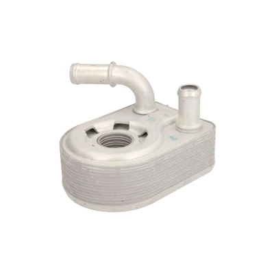 Imagen de THERMOTEC D4G010TT Radiador de Aceite FORD: Focus 2, MONDEO 4, 4 Stufenheck