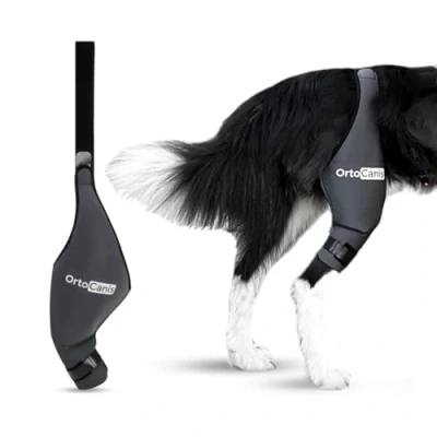Imagen de Ortocanis Protector de Rodilla para Perros con Lesiones Ligamentos Cruzados, Luxación Rótula o Artrosis, Talla X Mini Pierna Derecha