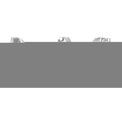 Imagen de Pinza de freno ELSTOCK 86 0508