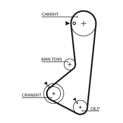 Imagen de GATES FleetRunner Micro V Stretch Fit 5372XS Correa de Distribucion 122 1162 19 Fibra vidrio, HNBR (Acrilo Nitrilo Butadieno Hidrogenado)