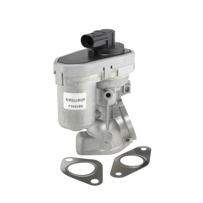 Imagen de Válvula EGR WAHLER 710925R