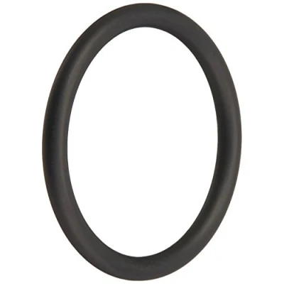Imagen de Fluval Junta Tórica Click Fit de la Tapa Superior para los Filtros FX5 / 6 2 Unidades