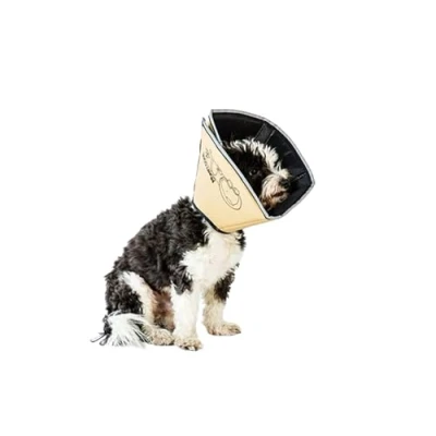 Imagen de All Four Paws Collarín de recuperación para Mascotas The Comfy Cone