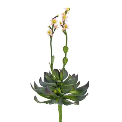 Imagen de artplants.de Aeonium Artificial en Vara de Ajuste, Flores Rosas, 30cm Flor Planta sintética