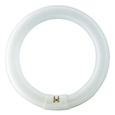 Imagen de TUBO FLUORESCENTE CIRCULAR 22W Ø21cm TRIFOSFORO 865K LUZ FRIA PHILIPS