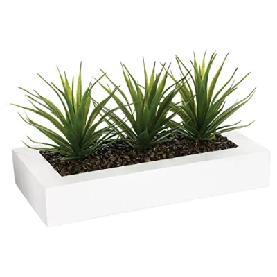 Imagen de Atmosphera Centro de Mesa 3 Aloe Vera Altura 17 cm, Blanco, l. 31 x 16 H. cm