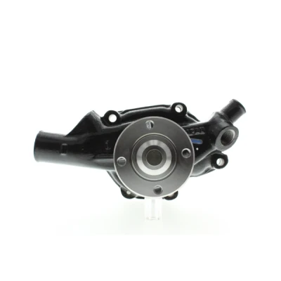 Imagen de Bomba de agua AISIN WPD 012