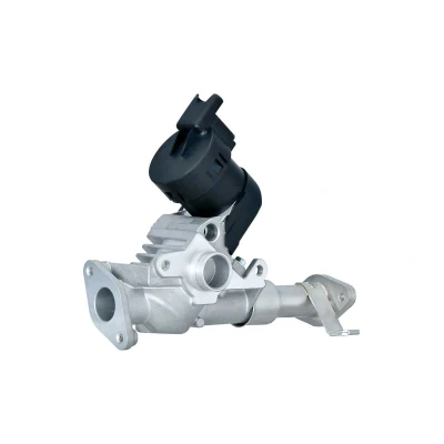 Imagen de HELLA 6NU 014 864 981 Válvula EGR eléctrico con juntas BMW: 3 Berlina, Touring, 1 Hatchback