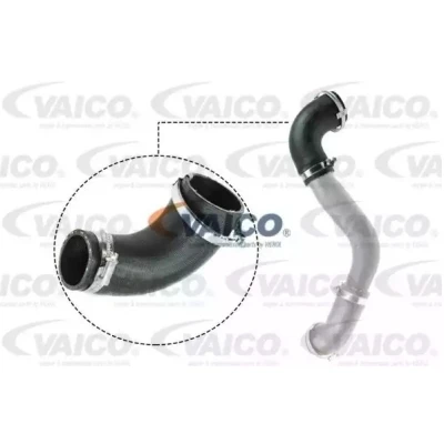 Imagen de VAICO V25 1050 Manguera Turbo Caucho con refuerzo textil Q+, calidad de primer equipo FORD: C Max 2, FOCUS 3, 3 Turnier