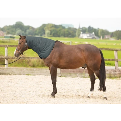 Imagen de Harry&#039;s Horse Neckcover Thor 200