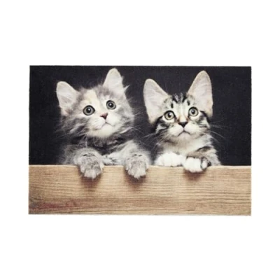Imagen de ASTRA Felpudo Interior Antideslizante Impermeable Que atrapa la Suciedad Lavable a 30 C Gatos Madera 40x60 cm