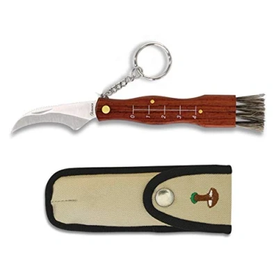 Imagen de Albainox Navaja Setas Mini, Recolecciòn de Setas, Hoja 6 cm. Rovellons Mango Madera