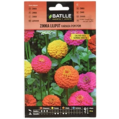 Imagen de Semillas Batlle Zinnia LILIPUT variada (Pom Pom)