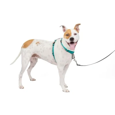 Imagen de PetSafe 3 in 1 Harness and Car Restraint en 1, Nailon, Verde Azulado, Medium