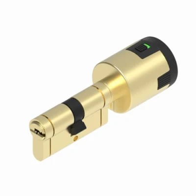 Imagen de Lince Cilindro CPLUS ALARM 30x30 cm Bombillo de Alta Seguridad con Sensor Alarma Integrado 100dB Protección Anti Bumping y Taladro Incluye 5 Llaves XL Acabado latón