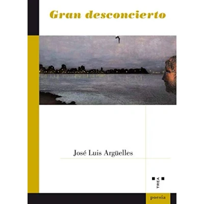 Imagen de Gran desconcierto (Poesía)