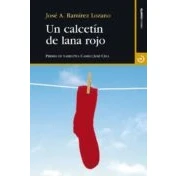 Imagen de Un Calcetin De Lana Rojo