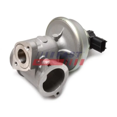 Imagen de Válvula EGR FAST FT60224