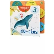 Imagen de Els Números De Sorpresa En