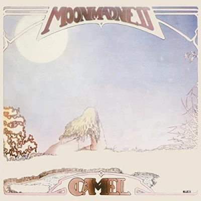 Imagen de Moonmadness (Vinilo)