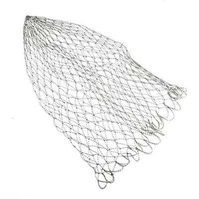 Imagen de VGEBY Red de Pesca Malla Duradera Carpa Reemplazo con Mosca 40/50/60cm(60)