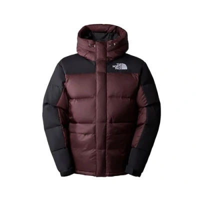 Imagen de THE NORTH FACE Chaqueta Hmlyn para hombre