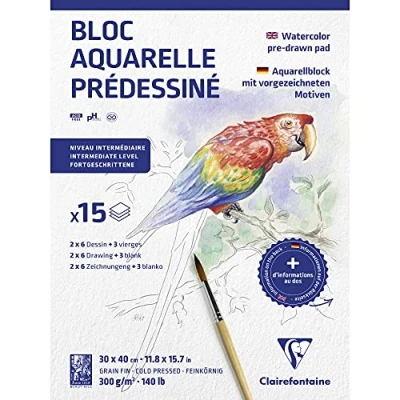 Imagen de Clairefontaine 975725C Un bloc pre dibujado de 15 hojas (2 x 6 diseños) 30 40 cm, 300 g, animales