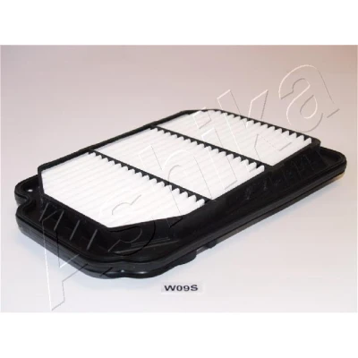 Imagen de Filtro de aire ASHIKA 20 0W W09