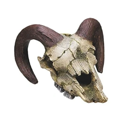 Imagen de Nobby Adornos de Acuario Calavera Carnero, 17,5 x 16 9,5 cm