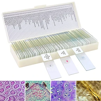 Imagen de 60 Muestras Microscopio Preparadas para Niños, Portaobjetos Preparados Microscopio, Especímenes de Plantas Animales Humana Cellular Bacterias, Biología Educación